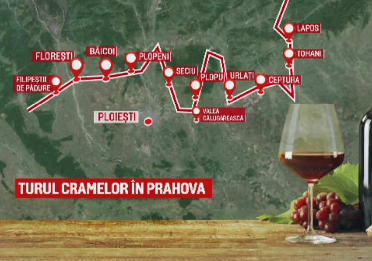 Cramele ocupa un loc tot mai important pe harta turismului. Pretul unei excursii cu degustari pe podgoriile din Prahova