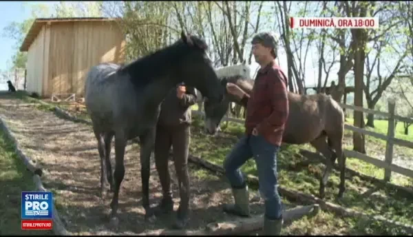 Proiectul cu care un neamt vrea sa salveze padurile din Fagaras. A cumparat 17.000 ha si viseaza la Yellowstone de Romania