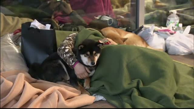 Japonezii care au ramas fara acoperis dupa cele 2 cutremure s-au mutat in adaposturi. Oamenii nu si-au abandonat cainii