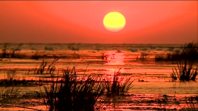 Cel mai mare proiect de investitii europene din Romania. Cum va fi transformata zona Deltei Dunarii cu 1 miliard de euro