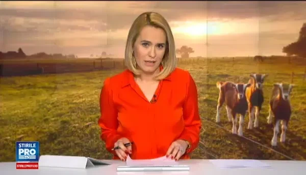 Carnea tot mai cautata de romanii care nu vor miel la masa de Paste. Cat costa un kilogram si de ce este speciala