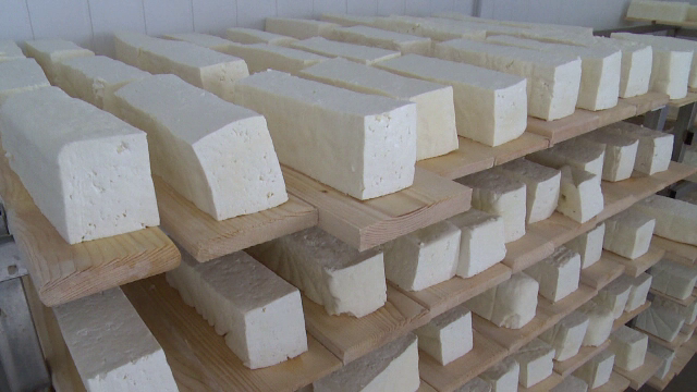 Sase tone de branza expirata din 2012, pregatita pentru vanzare, gasita la Galati. Amenda pe care a primit-o proprietarul