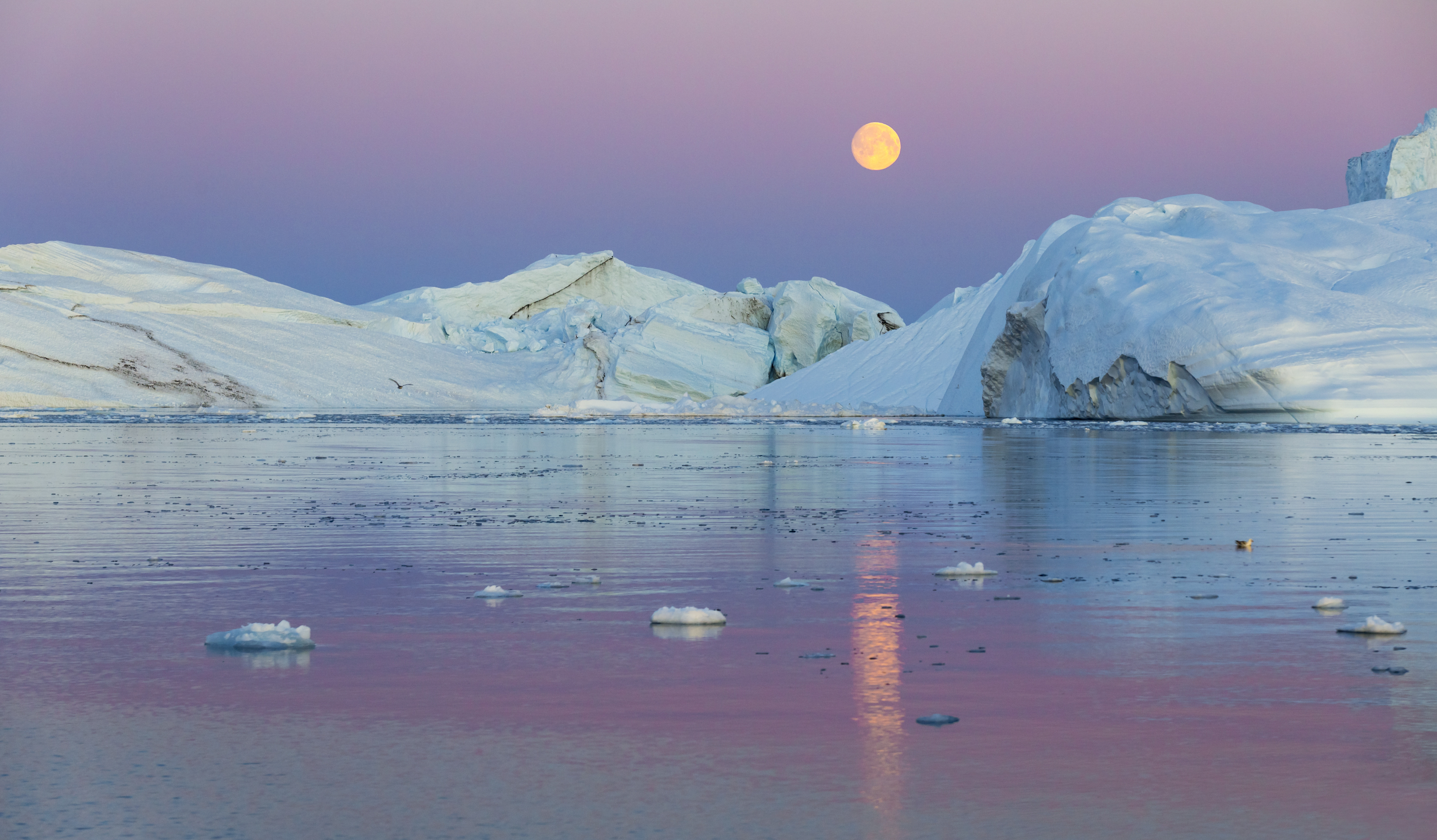 Un val de caldura a lovit Polul Nord si ar putea sparge nu numai gheata, ci si recordurile. Principalii vinovati: oamenii
