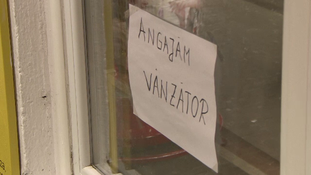 280.000 de români nu îşi caută serviciu, în timp ce patronii aduc vietnamezi şi chinezi