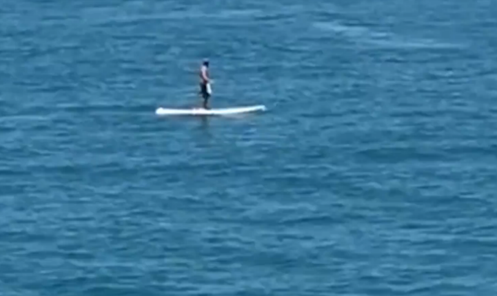 Plutea linistit pe o placa de surf, cand a avut parte de o surpriza uriasa. Ce s-a intamplat in secunda urmatoare. VIDEO