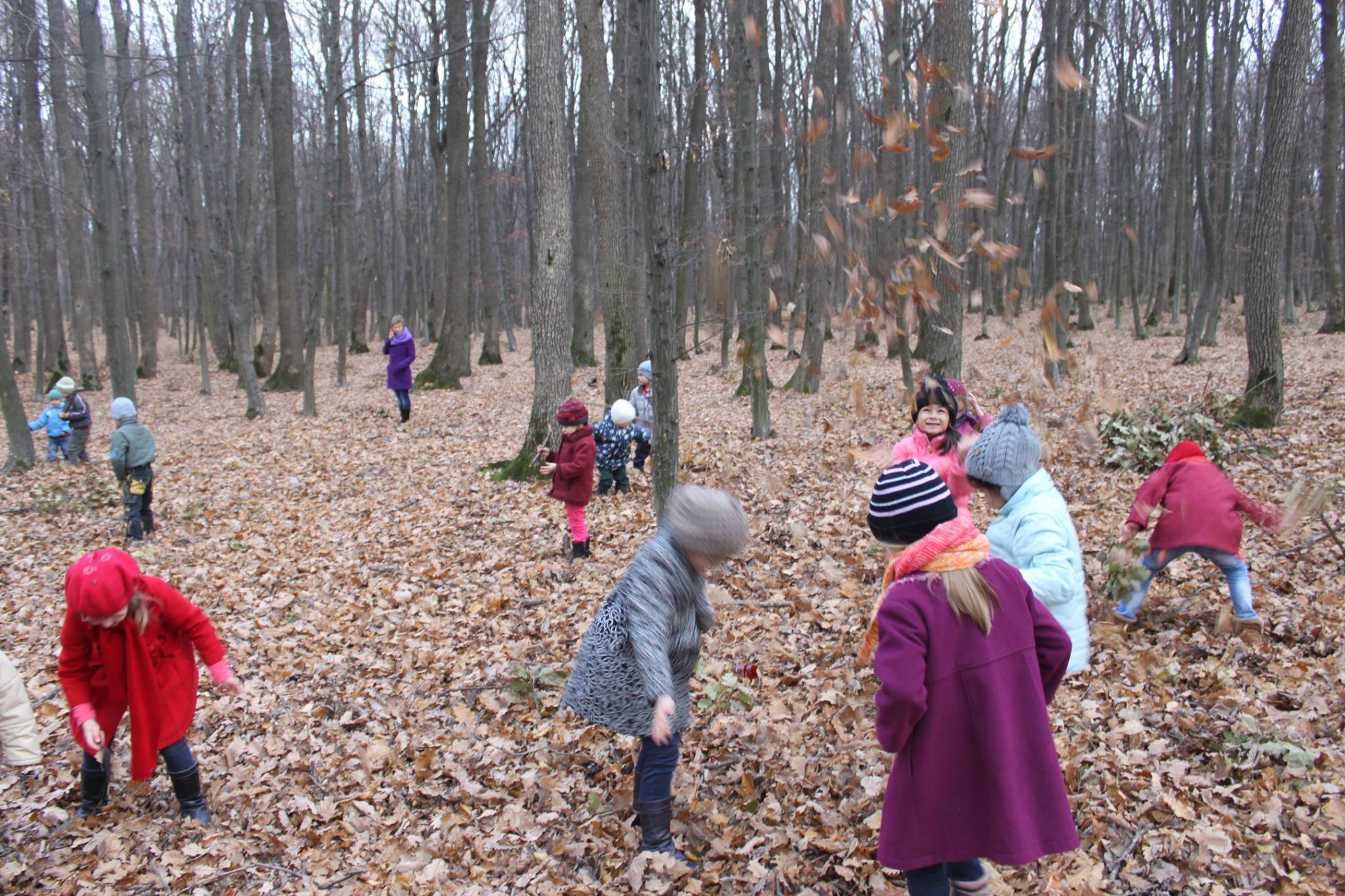 Legi fara cap pentru copiii fara parinti. "Vin inapoi numai paduchi, batuti si speriati, si nu-i putem primi"