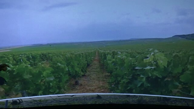 Cum poti ajunge pe podgoriile de vin din Franta fara sa cumperi un bilet de avion. Tehnologia care revolutioneaza calatoritul