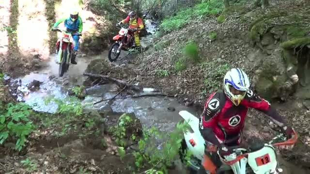 Scandal urias, dupa ce 150 de motociclisti s-au "gandit" sa organizeze o cursa intr-o arie protejata. Dezastrul lasat in urma