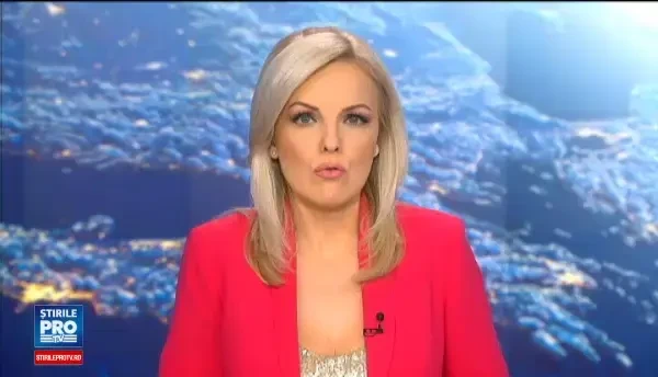 Un roman a fost arestat in Austria. Barbatul calatorea cu un presupus terorist suspectat de legaturi cu atentatele din Paris