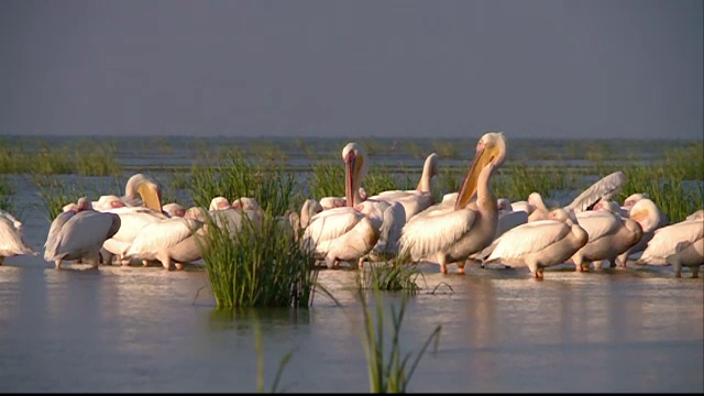 Destinatia unica de vacanta pe harta turismului romanesc. O ferma abandonata de 20 de ani a devenit o adevarata minune