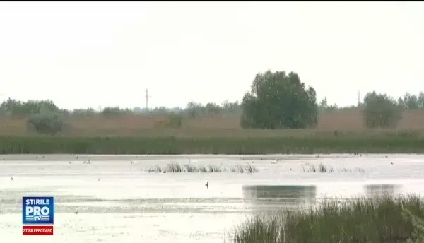 Destinatia unica de vacanta pe harta turismului romanesc. O ferma abandonata de 20 de ani a devenit o adevarata minune