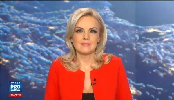 Un pui de urs jucaus a ajuns din padure direct pe strazile din Los Angeles. Cat a durat pana cand a fost prins