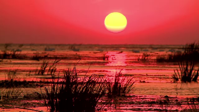 Experienta traita de un canadian si un englez porniti intr-un tur culinar in Delta Dunarii: "Nu gasesti asa ceva nicaieri"