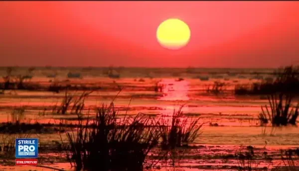 Experineta traita de un canadian si un englez porniti intr-un tur culinar in Delta Dunarii: Nu gasesti asa ceva nicaieri