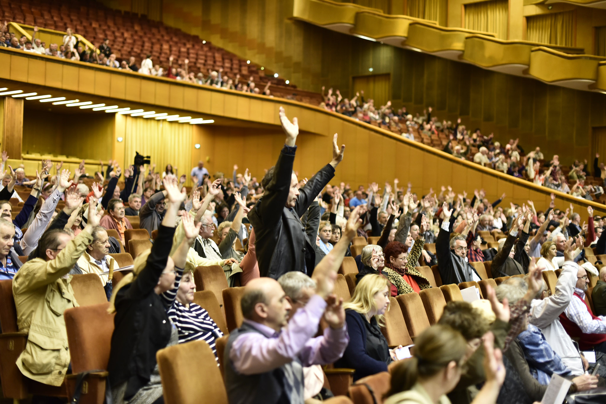 Apa Nova advertorial