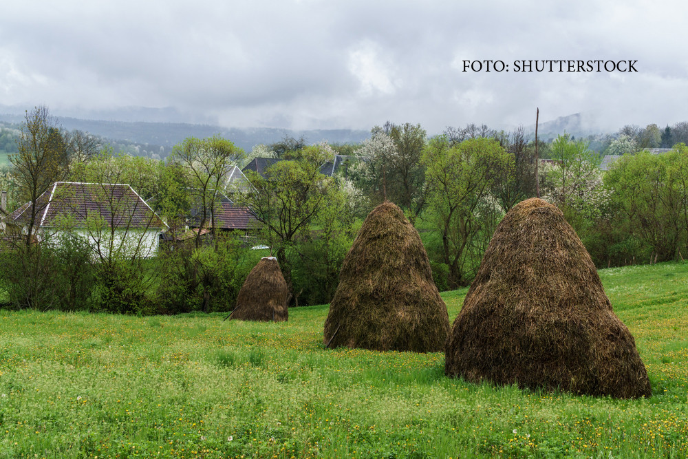 Vreme schimbatoare, cu temperaturi mici, ploi si vant. Cum va fi de Paste pe litoral si la munte