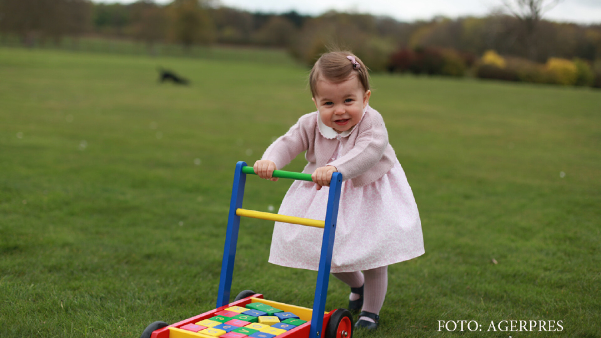 printesa Charlotte
