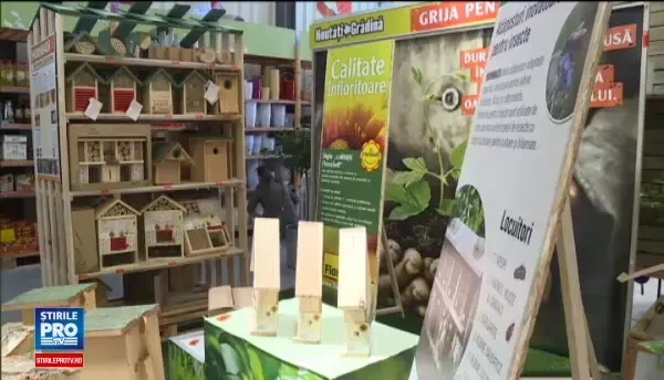 Produsele care va aduc fluturii in gradina si va scot gandacii din casa. Cum functioneaza un hotel pentru insecte