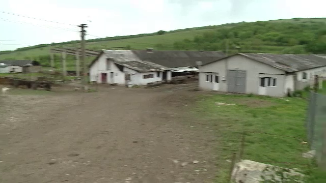 Gestul extrem al unui tanar din judetul Cluj. O acuzatie pe nedrept l-ar fi impins sa-si puna capat zilelor