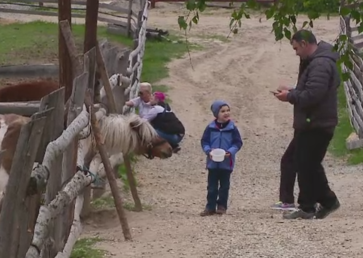 Romanul care si-a facut propria gradina zoologica, la Cluj. Ce animale creste pe o suprafata de 10 hectare