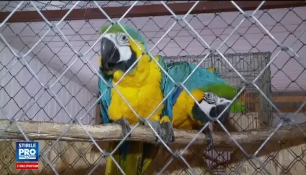 Romanul care si-a facut propria gradina zoologica, la Cluj. Ce animale creste pe o suprafata de 10 hectare