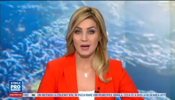 Pompierii din Timisoara au salvat un caine blocat de mai multe zile intr-un cavou. Cum a ajuns animalul acolo