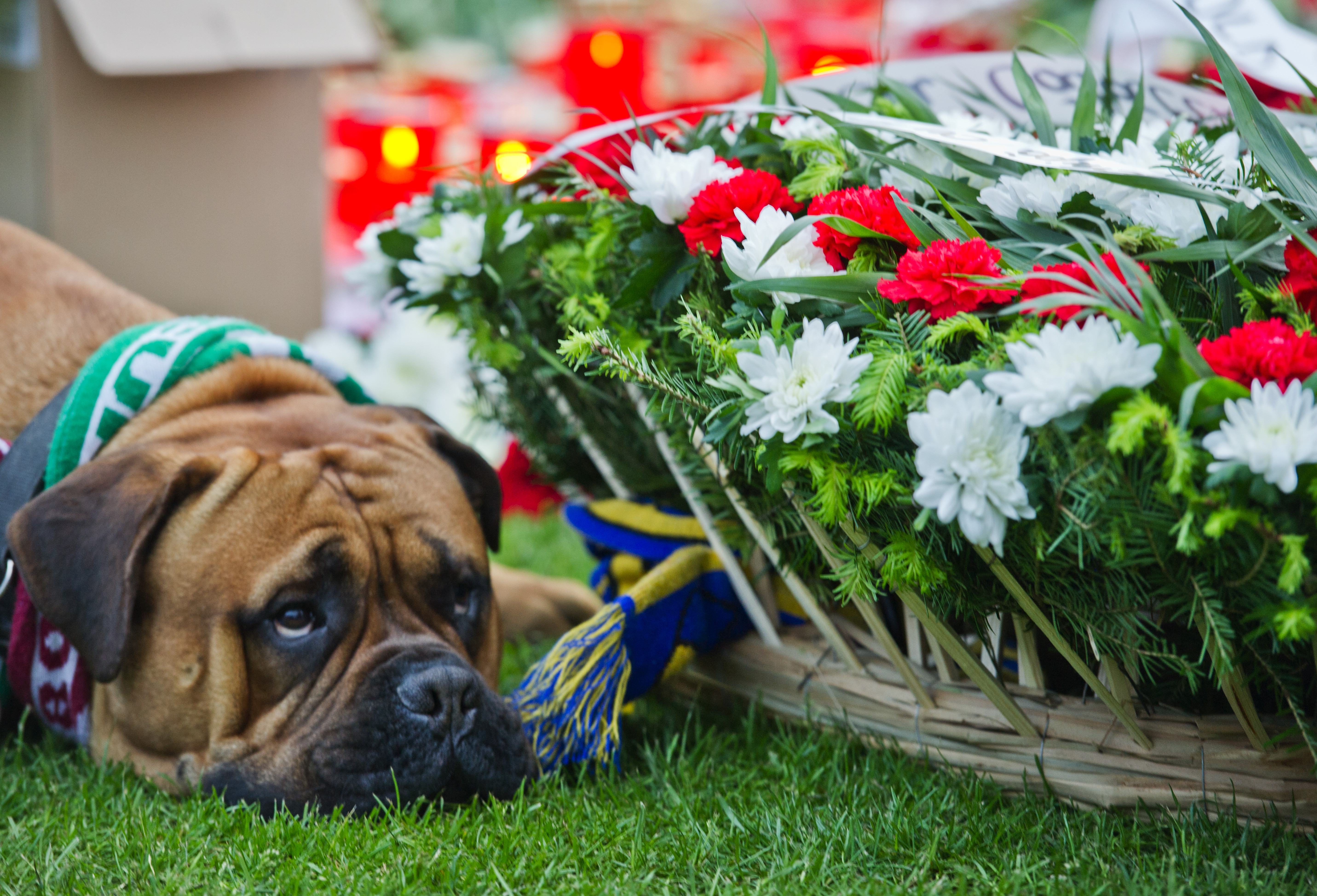 Patrick Ekeng - Agerpres