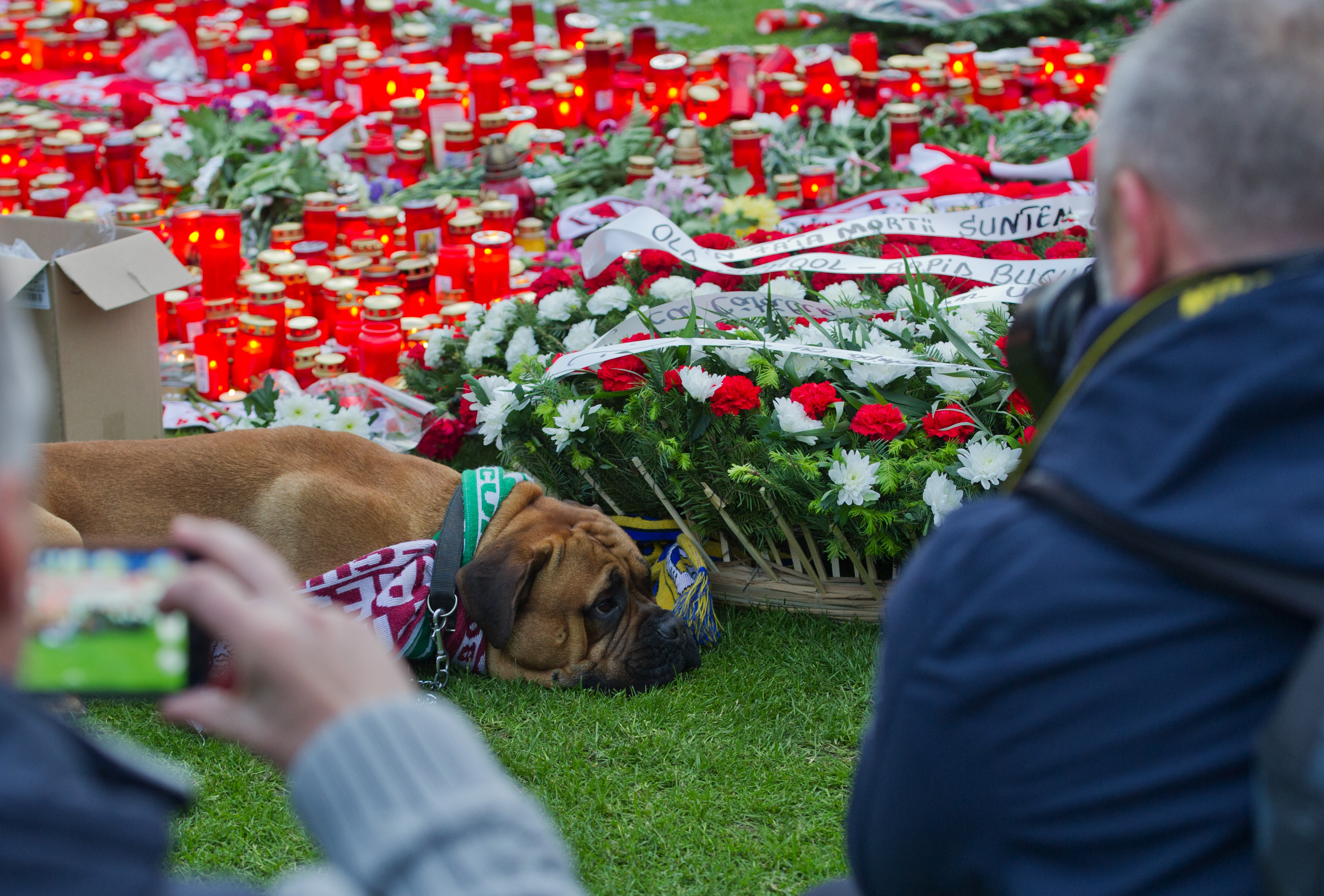 Patrick Ekeng - Agerpres