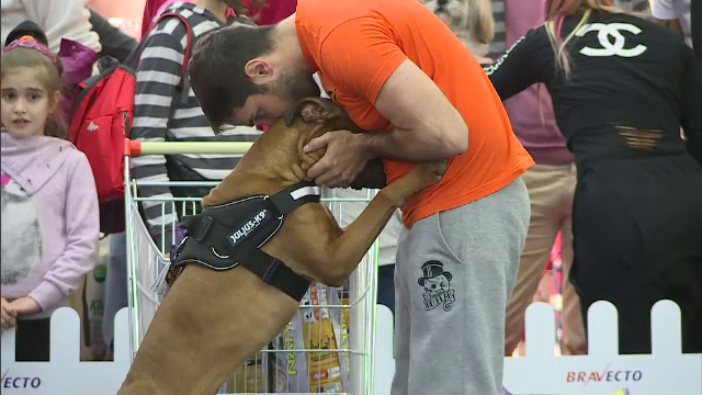 caine si stapanul sau