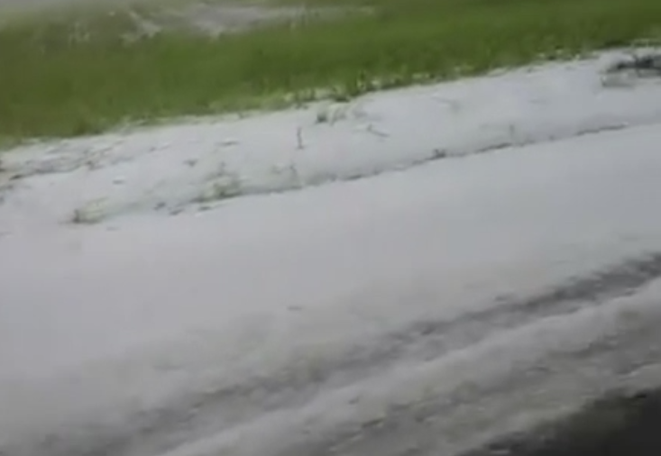 "Pe o raza de 20 de km nu a mai ramas nimic in picioare". Cum putea fi evitat dezastrul provocat de grindina in Dolj