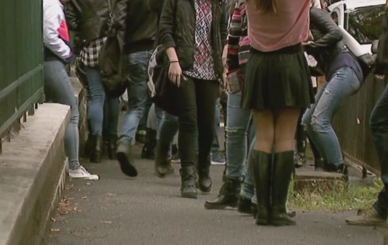 O noua materie optionala pentru elevii de liceu. Disciplina va fi introdusa chiar din anul scolar 2016-2017