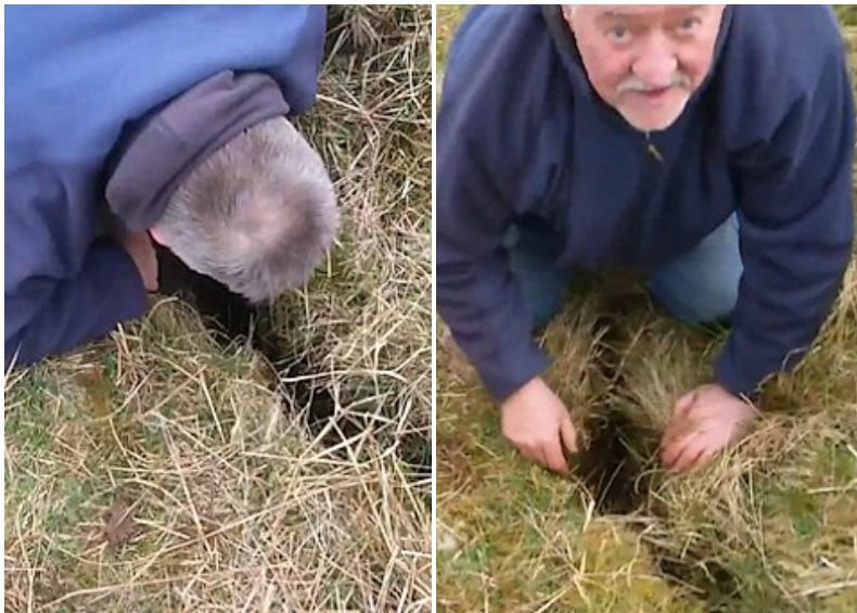 A auzit sunete care veneau din aceasta crapatura si a mers sa investigheze. Surpriza pe care a avut-o cand a bagat mana