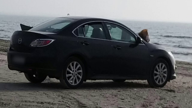 A parcat masina pe plaja din Mamaia, sa fie cat mai aproape de apa, dar va regreta gestul. Suma cu care va fi amendat soferul