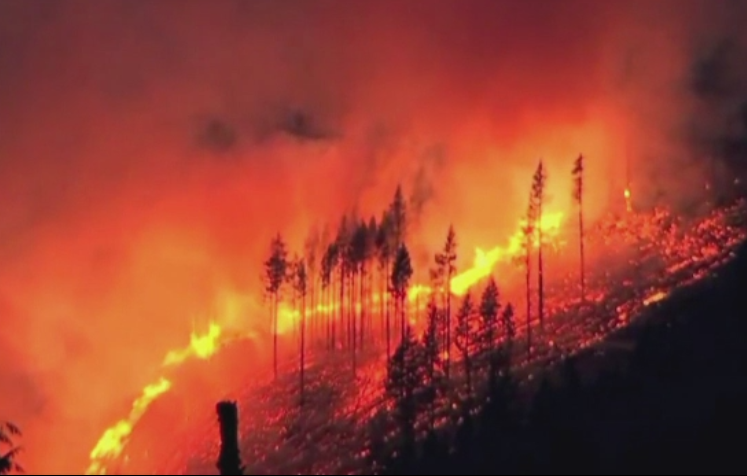 Incendiu de vegetatie amenintator, in Washington. Flacarile au distrus zeci de hectare de padure intr-o noapte