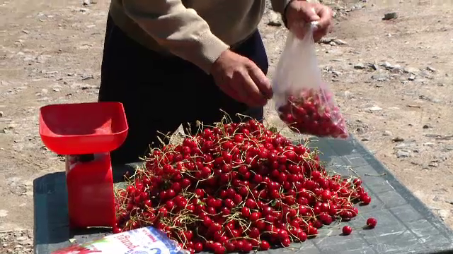 Ciresele 100% bio, nestropite si cu aroma bogata. Cat costa un kilogram vandut la marginea drumului, in satele din tara