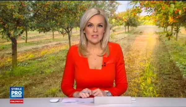 Ciresele 100% bio, nestropite si cu aroma bogata. Cat costa un kilogram vandut la marginea drumului, in satele din tara