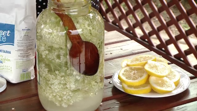 Bautura de pe vremea bunicii pe care am ajuns sa o exportam. Cu cat se vinde peste hotare un kilogram de flori de soc