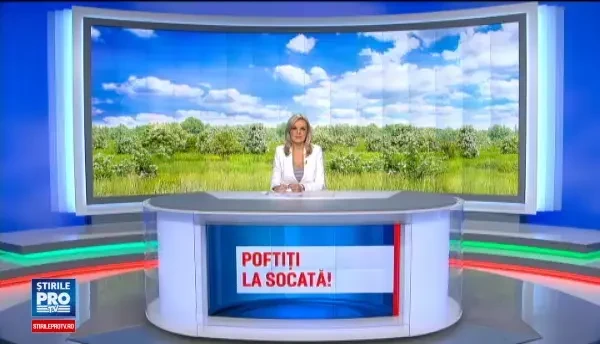 Bautura de pe vremea bunicii pe care am ajuns sa o exportam. Cu cat se vinde peste hotare un kilogram de flori de soc