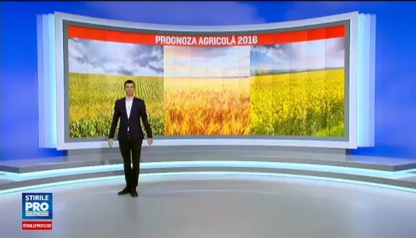 Romania, in fata celui mai bun an agricol din ultimul deceniu. Singurul obstacol care ar putea sta in calea acestei reusite