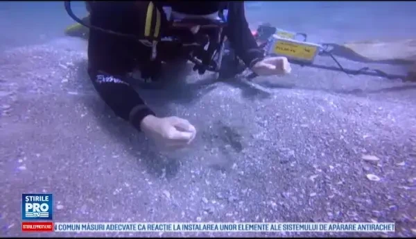 Cea mai importanta descoperire arheologica submarina din ultimii 30 de ani. Comoara care zacea pe fundul marii de 1600 de ani