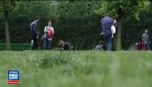 Peste 100 de clujeni au ajuns la spital cu intepaturi de capuse, care pot provoca boala Lyme. Avertismentul specialistilor