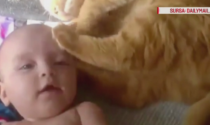 Incercarea amuzanta a unei pisicute de a se imprieteni cu un bebelus. Ce face cand vede ca nu este bagata in seama