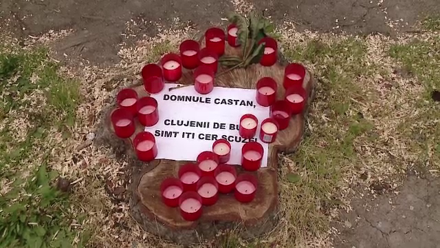 Mesajul unui protest inedit al clujenilor, dupa ce primaria a taiat castanii batrani: "Clujenii de bun simt iti cer scuze"