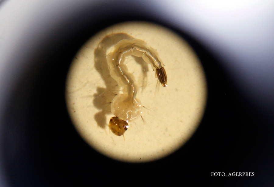 O noua epidemie venita din Africa ar putea afecta intreaga planeta. Dozele de vaccin sunt aproape epuizate