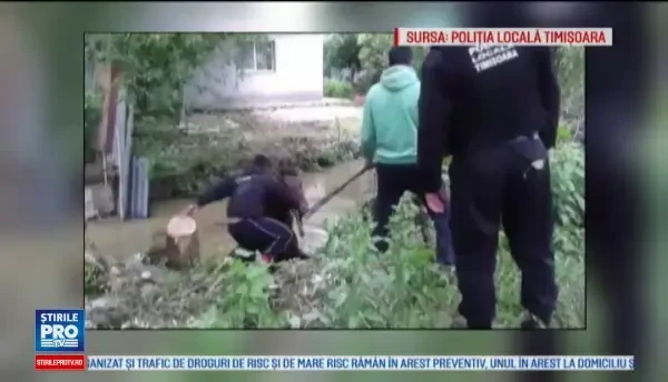 Misiune neobisnuita pentru politistii din Timisoara. Au fost chemati sa salveze un cal cazut intr-un canal de acumulare