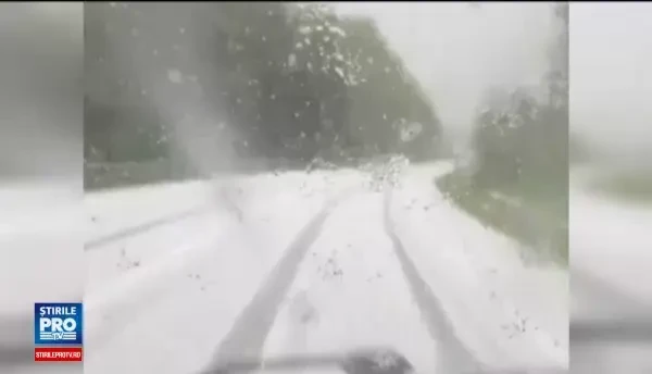 Agricultorii vor despagubiri de la stat, dupa ce vijeliile le-au distrus primele recolte. Cum putea fi evitat dezastrul