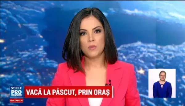 Doua femei din Gorj, condamnate pentru marturii mincinoase. Un sofer a stat 9 zile in arest din cauza lor