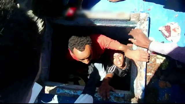migranti