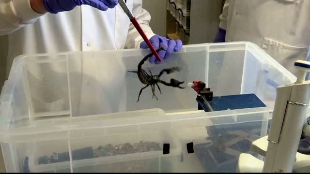 In urmatorii 30 de ani, virusurile vor provoca mai multe decese decat cancerul. Tratamentul testat de cercetatori