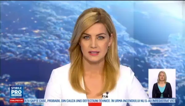 Cele mai frumoase specii de fluturi din lume pot fi admirate la Galati. Exemplarele cu aripi si de 20 de centimetri